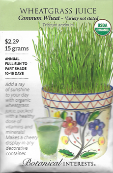 wheatgrass