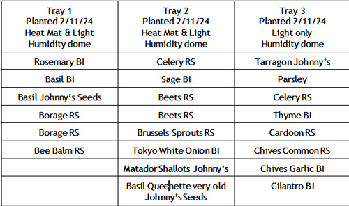 trays